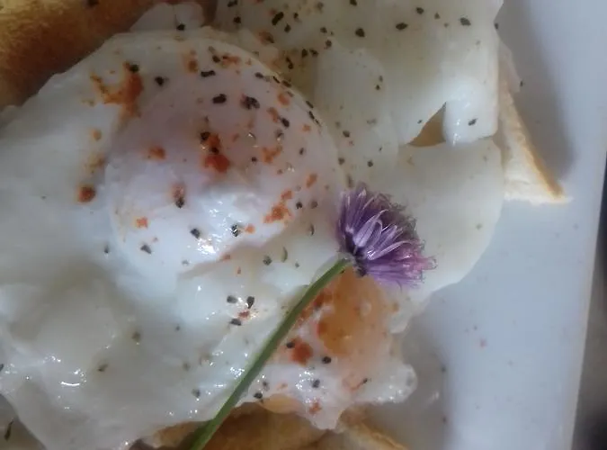 Bed & Breakfast Westhouse Cafe N39 E0a6 3*